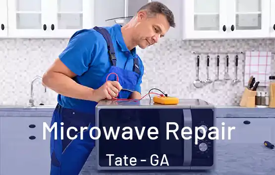  Microwave Repair Tate - GA