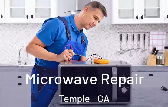  Microwave Repair Temple - GA