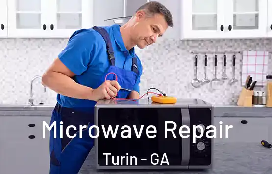  Microwave Repair Turin - GA