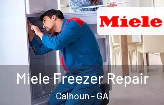  Miele Freezer Repair Calhoun - GA
