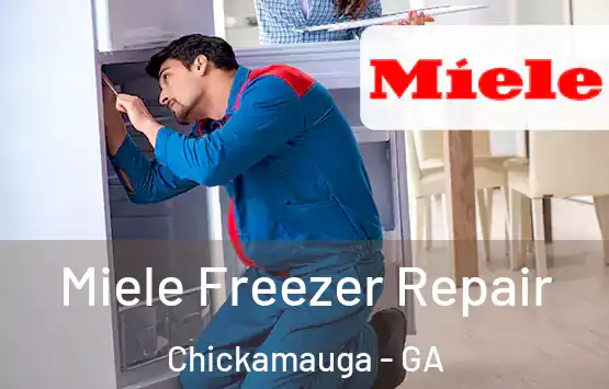  Miele Freezer Repair Chickamauga - GA