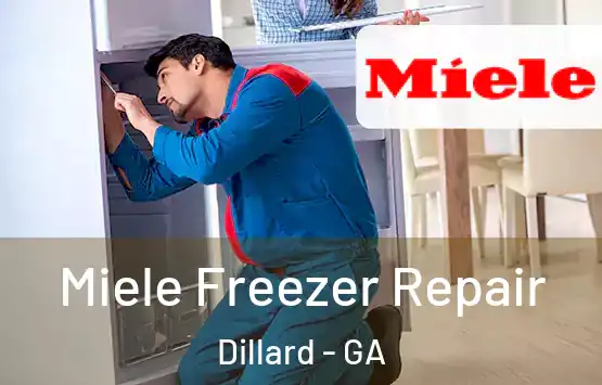  Miele Freezer Repair Dillard - GA