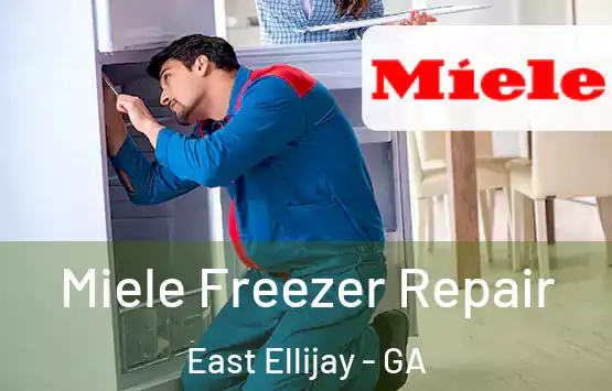  Miele Freezer Repair East Ellijay - GA