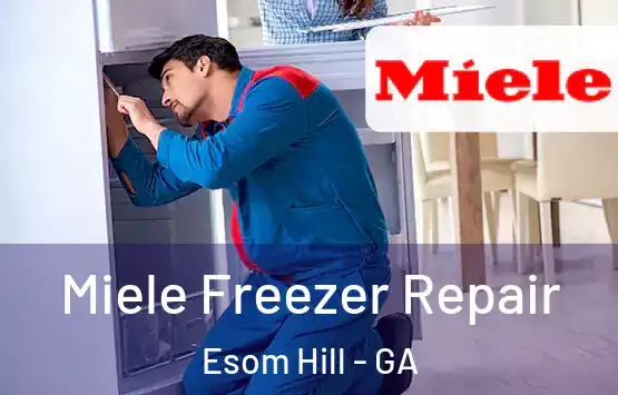  Miele Freezer Repair Esom Hill - GA