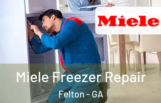  Miele Freezer Repair Felton - GA