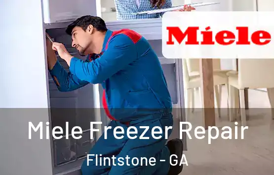  Miele Freezer Repair Flintstone - GA