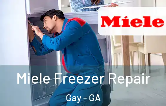  Miele Freezer Repair Gay - GA