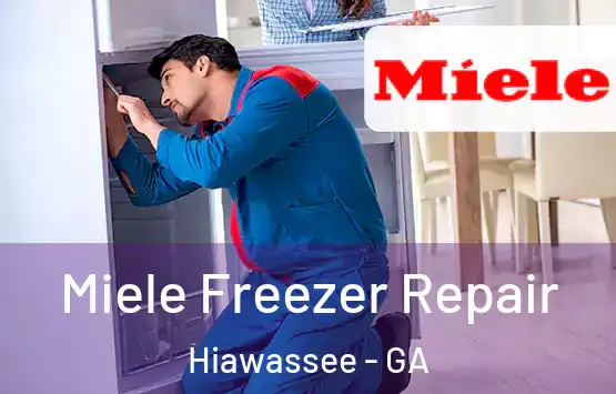  Miele Freezer Repair Hiawassee - GA