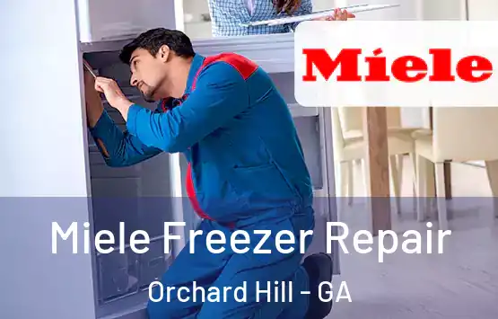  Miele Freezer Repair Orchard Hill - GA