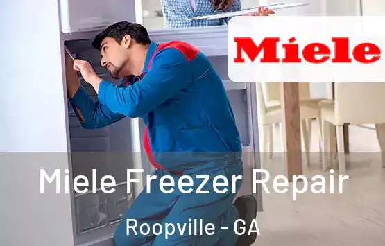  Miele Freezer Repair Roopville - GA