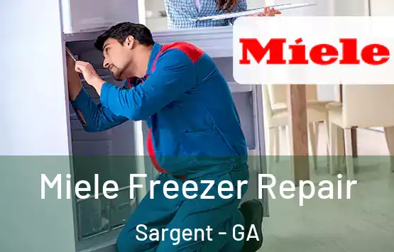  Miele Freezer Repair Sargent - GA