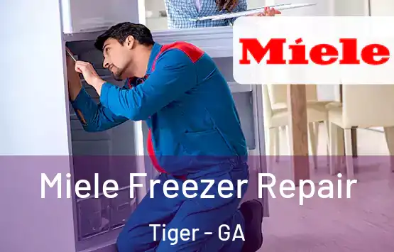  Miele Freezer Repair Tiger - GA