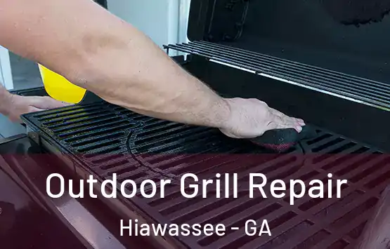  Outdoor Grill Repair Hiawassee - GA