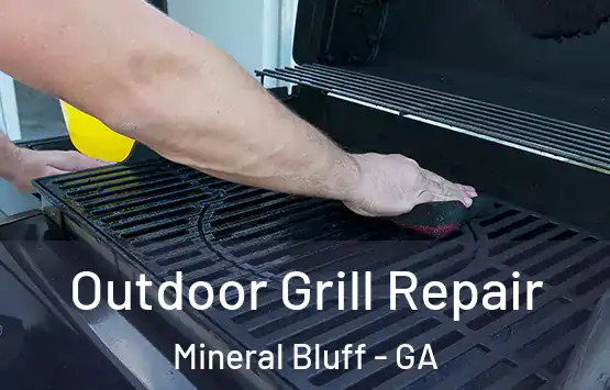  Outdoor Grill Repair Mineral Bluff - GA
