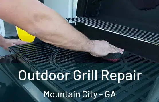  Outdoor Grill Repair Mountain City - GA