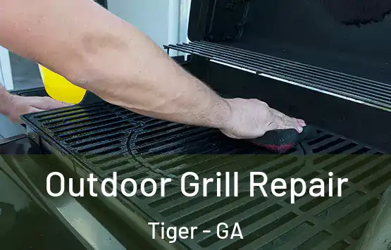  Outdoor Grill Repair Tiger - GA