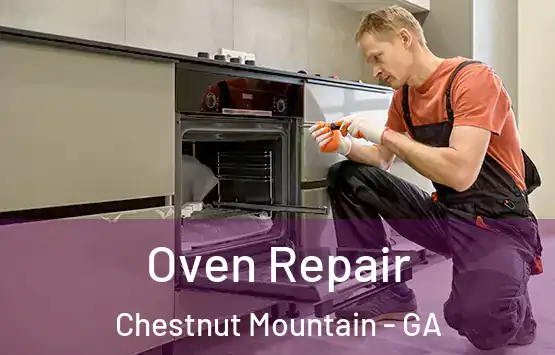 Oven Repair Chestnut Mountain - GA