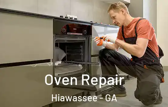  Oven Repair Hiawassee - GA