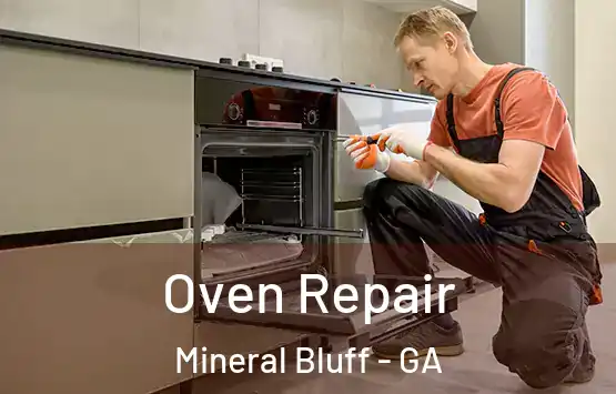  Oven Repair Mineral Bluff - GA