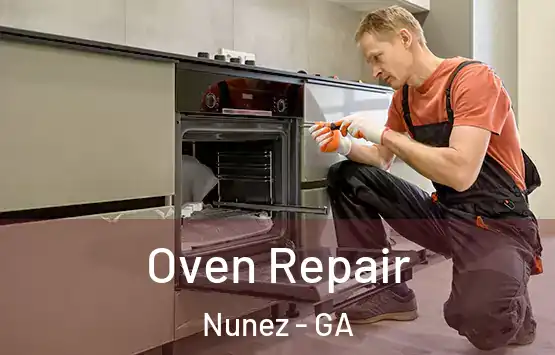  Oven Repair Nunez - GA