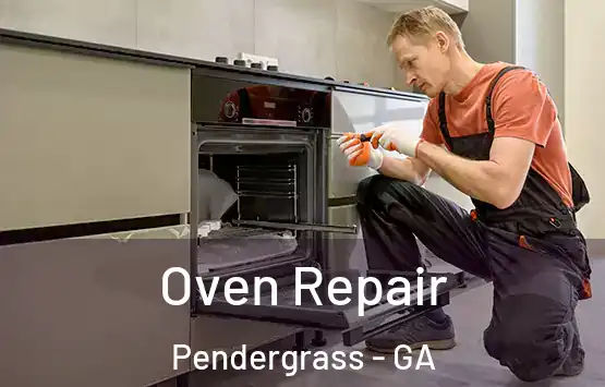  Oven Repair Pendergrass - GA