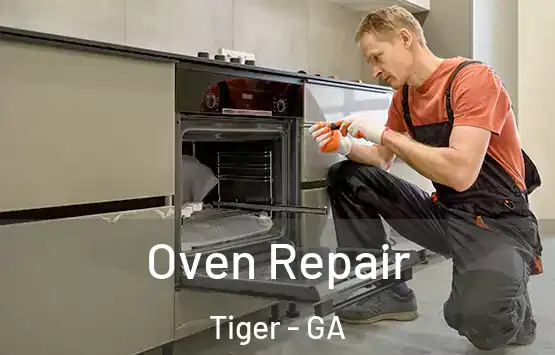  Oven Repair Tiger - GA