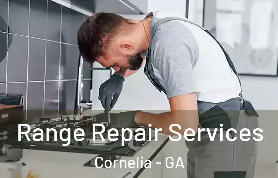  Range Repair Services Cornelia - GA