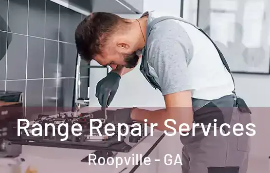  Range Repair Services Roopville - GA