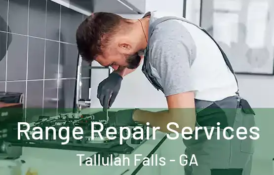  Range Repair Services Tallulah Falls - GA