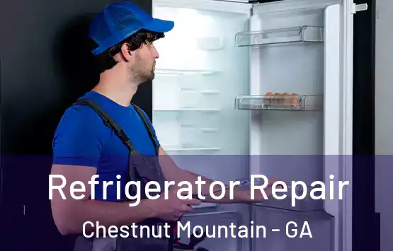  Refrigerator Repair Chestnut Mountain - GA