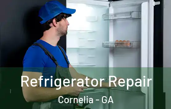  Refrigerator Repair Cornelia - GA
