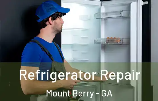  Refrigerator Repair Mount Berry - GA