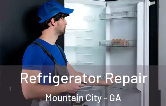  Refrigerator Repair Mountain City - GA