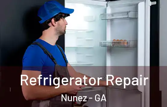  Refrigerator Repair Nunez - GA