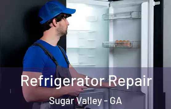  Refrigerator Repair Sugar Valley - GA