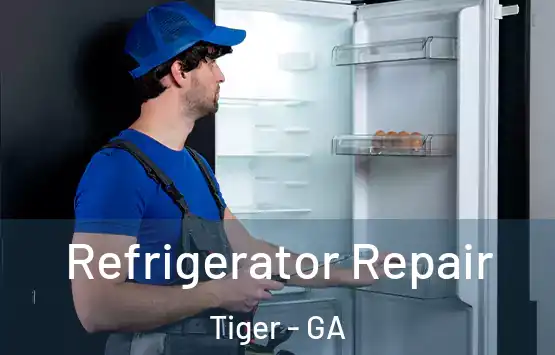  Refrigerator Repair Tiger - GA