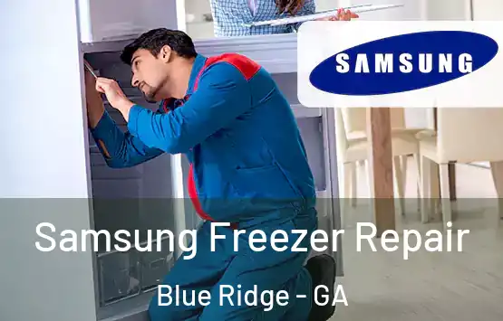  Samsung Freezer Repair Blue Ridge - GA