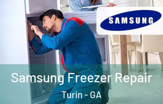  Samsung Freezer Repair Turin - GA