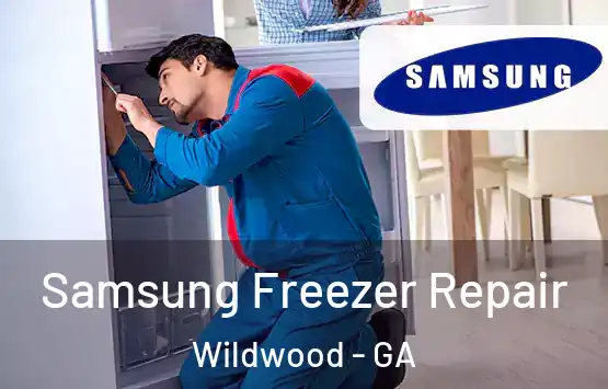 Samsung Freezer Repair Wildwood - GA