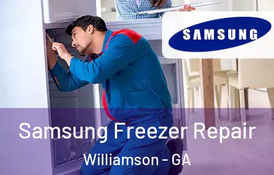  Samsung Freezer Repair Williamson - GA