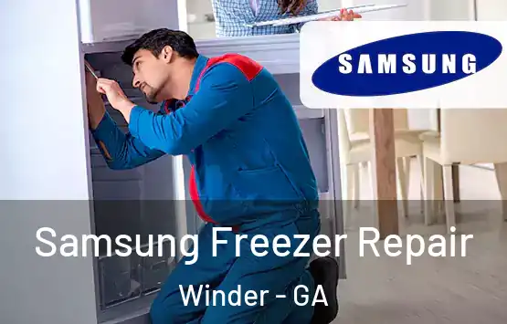  Samsung Freezer Repair Winder - GA
