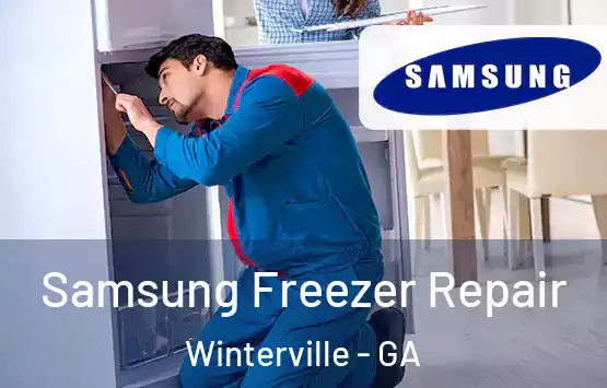  Samsung Freezer Repair Winterville - GA