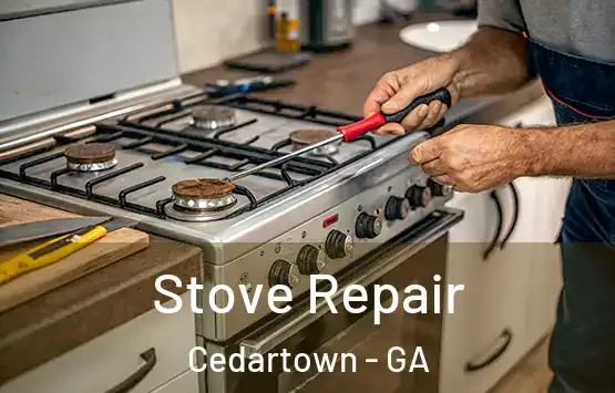 Stove Repair Cedartown - GA