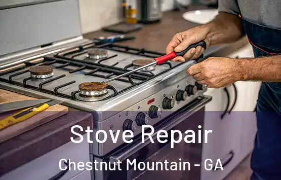  Stove Repair Chestnut Mountain - GA