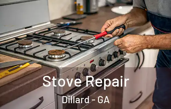  Stove Repair Dillard - GA