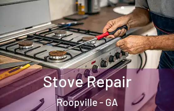  Stove Repair Roopville - GA