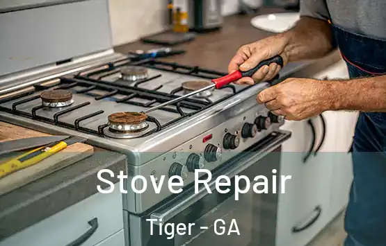  Stove Repair Tiger - GA