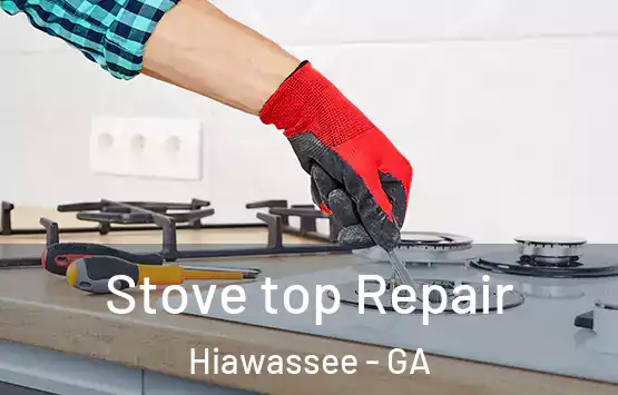  Stove top Repair Hiawassee - GA