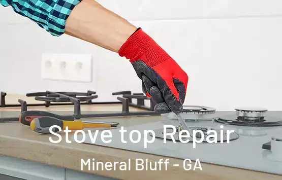  Stove top Repair Mineral Bluff - GA