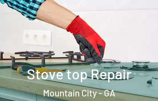  Stove top Repair Mountain City - GA